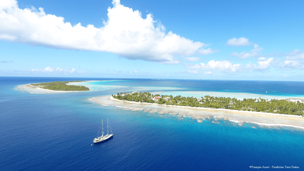 Exposition Tara Océan