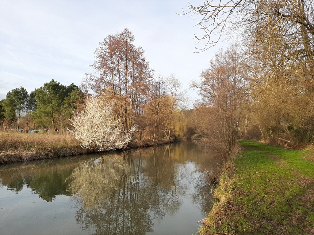 Chante la Cisse&nbsp;!