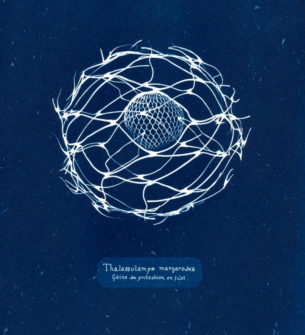 &laquo;&nbsp;Les particules, le conte humain d&rsquo;une eau qui se meurt&nbsp;&raquo; de Manon&nbsp;Lanjouère