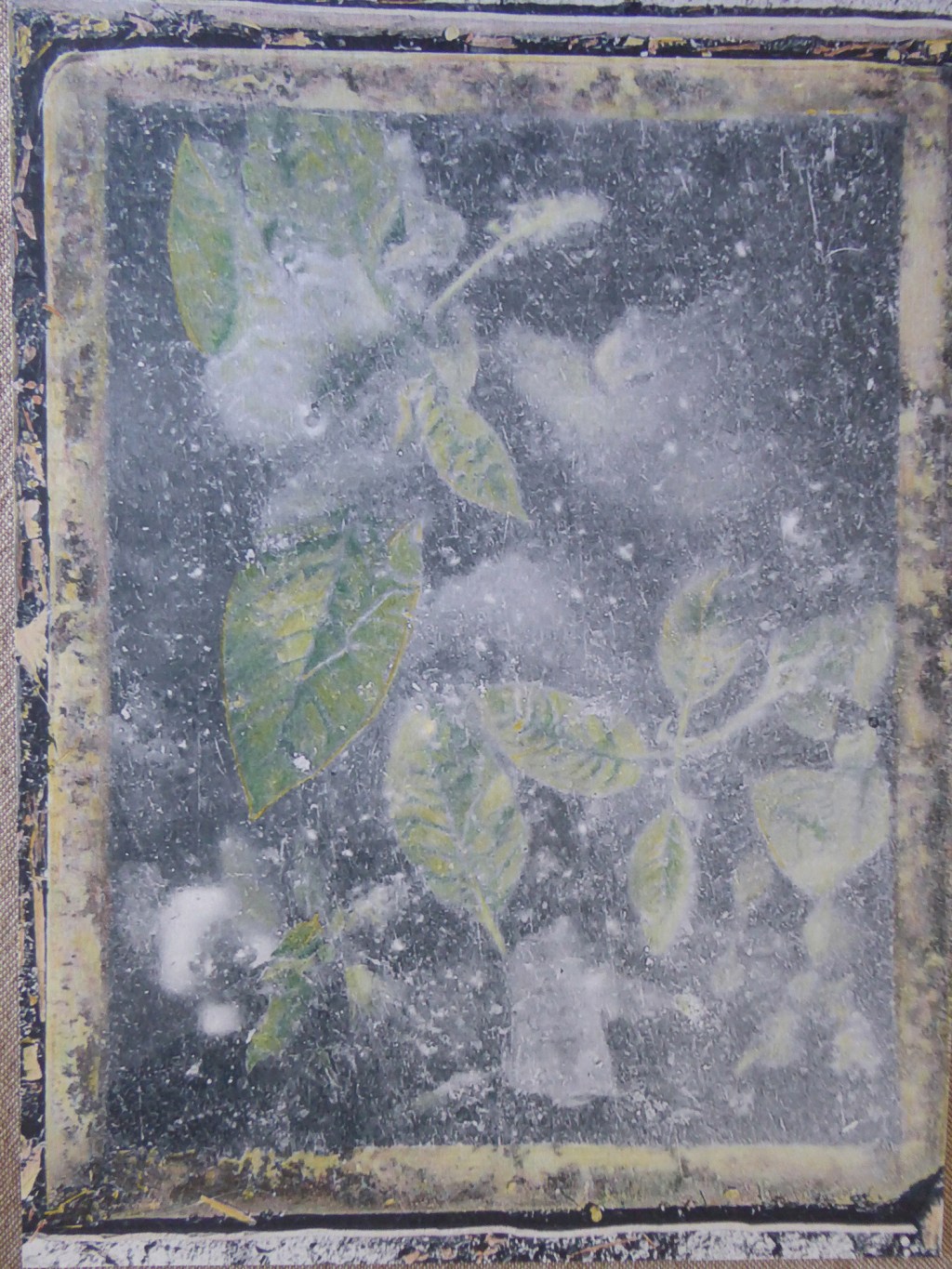 Laurence Gondouin B.